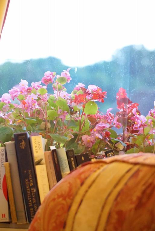バース Aquae Sulis Bed & Breakfast エクステリア 写真
